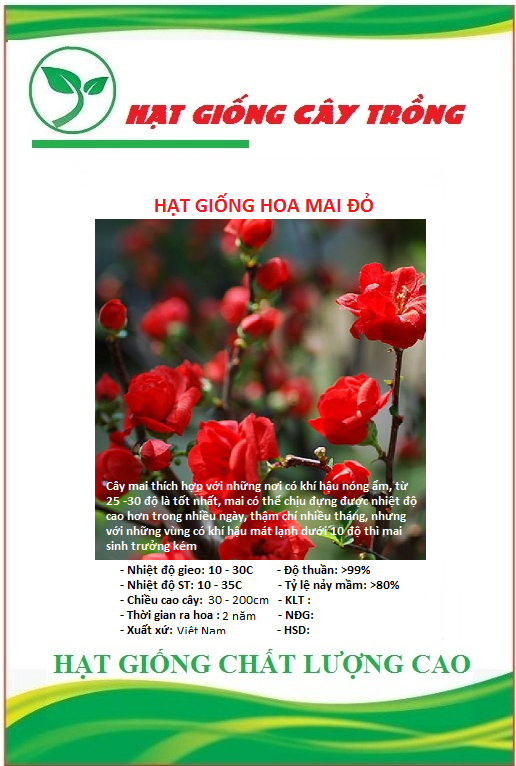 Hạt Giống Hoa Mai Trung Quốc Đỏ