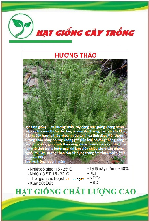 Hạt Giống Cây Hương Thảo Rosemary