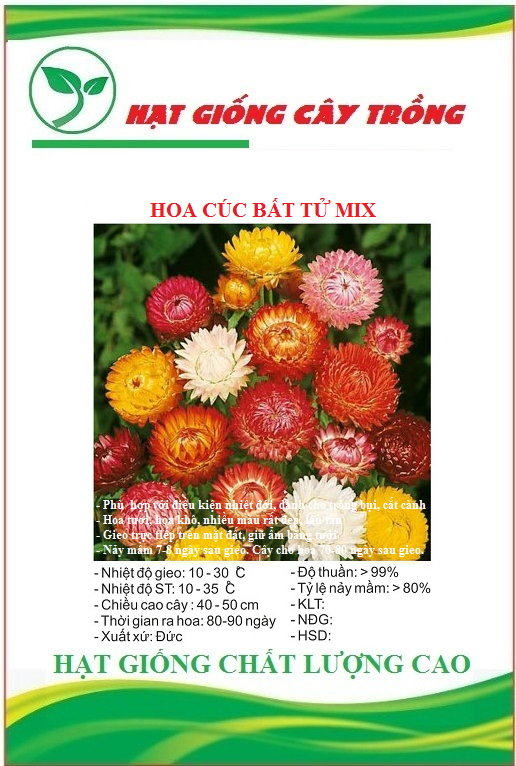 Hạt giống hoa cúc bất tử nhiều màu - Gói 50 hạt