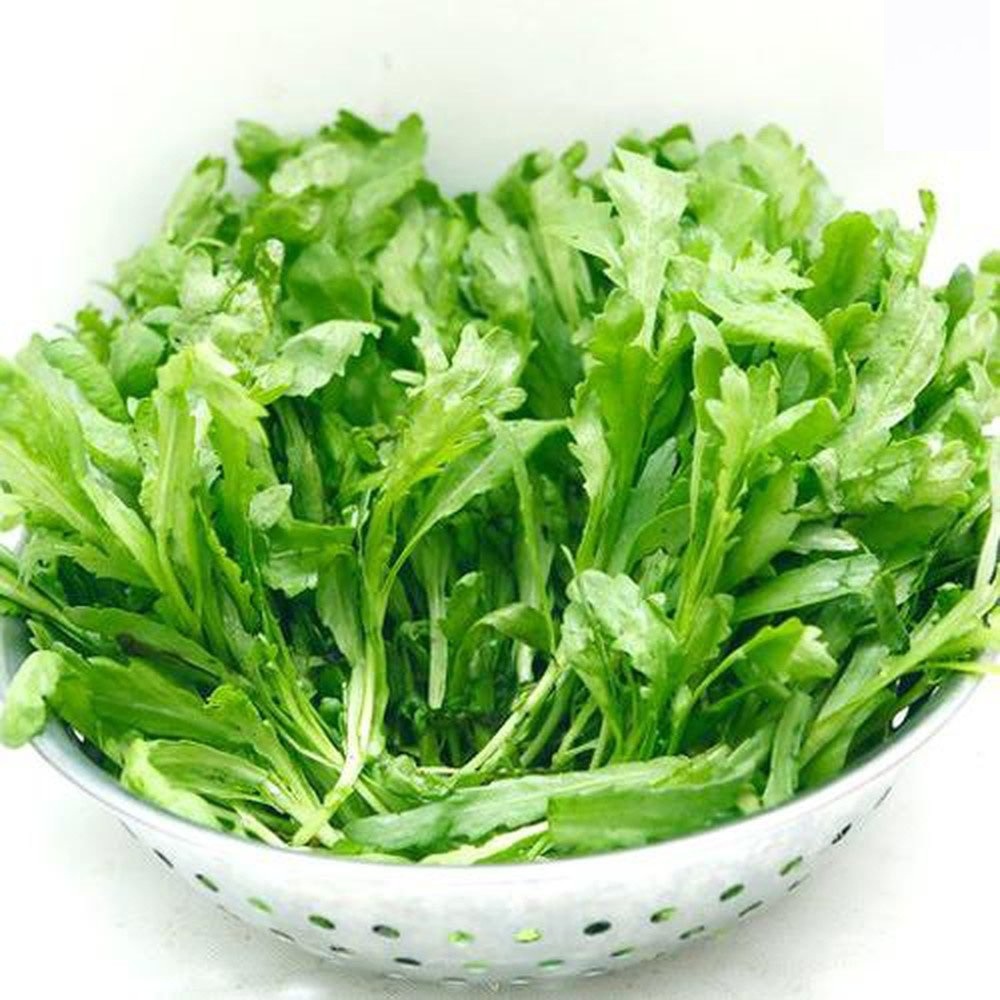 Hạt Giống Cải Cúc Tẻ (Rau Tần Ô )