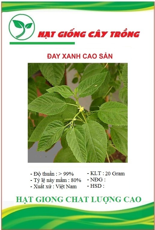 Hạt Giống Rau Đay Xanh