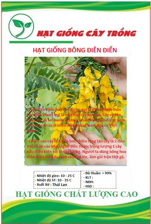 Hạt Giống Bông Điên Điển