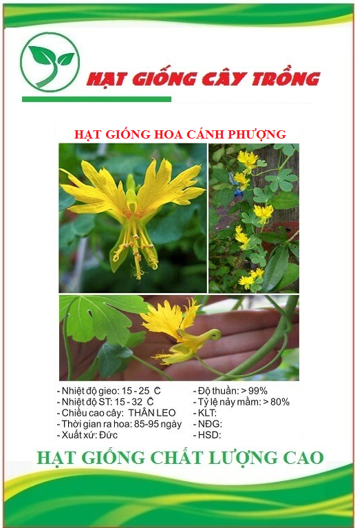 Hạt giống hoa cánh phượng - Gói 4 hạt