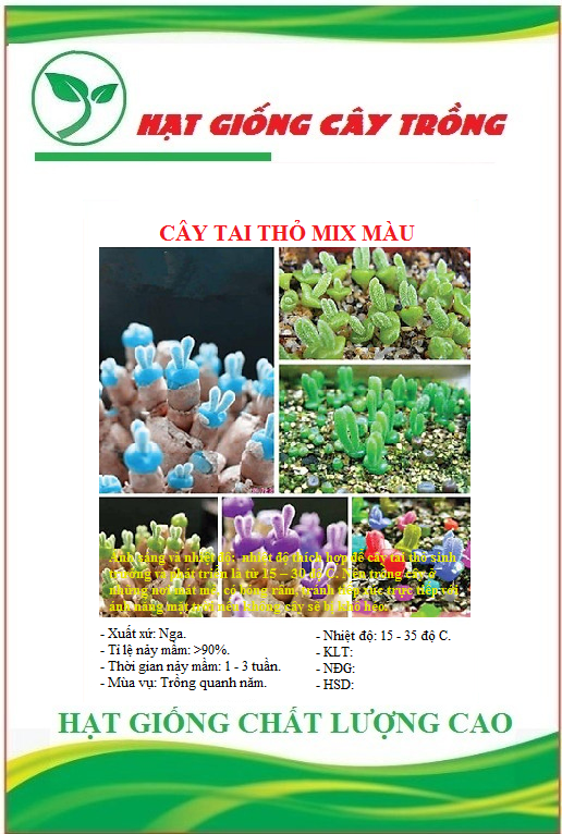 Hạt giống cây tai thỏ mix màu- Gói 50 hạt
