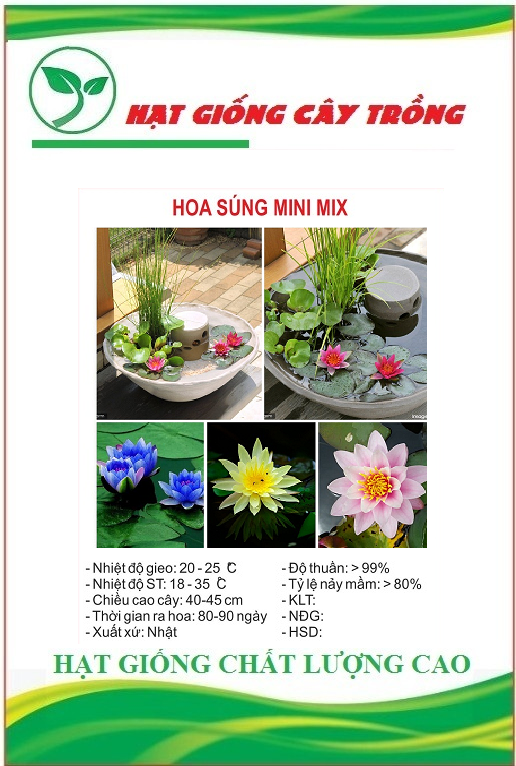 Hạt Giống Hoa Súng Mini Nhiều Màu