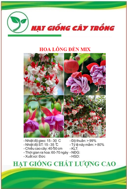 Hạt giống hoa lồng đèn mix màu - Gói 20 hạt