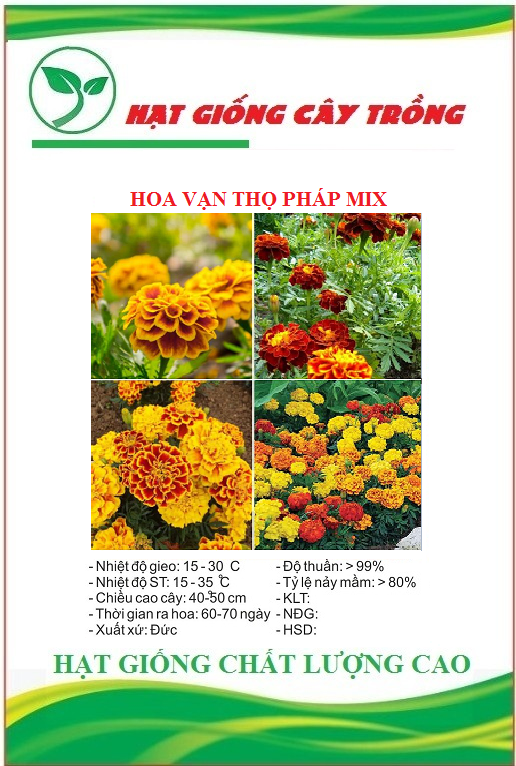 Hạt giống hoa Cúc Vạn Thọ Pháp Mix - Gói 50 hạt