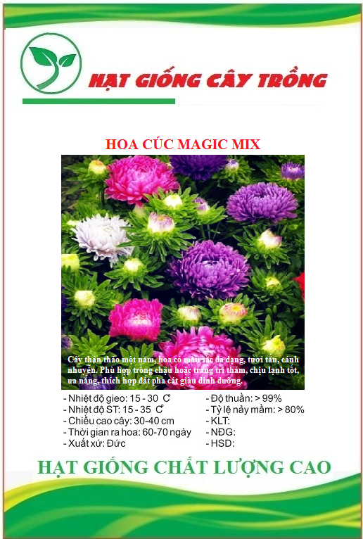 Hạt giống Hoa Cúc Magic Mix - Gói 50 hạt