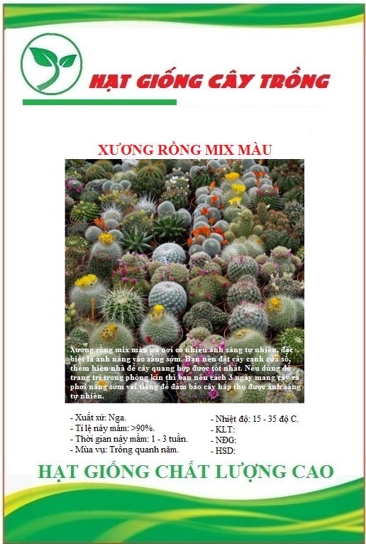 Hạt giống cây hoa xương rồng nhiều màu - Gói 20 hạt