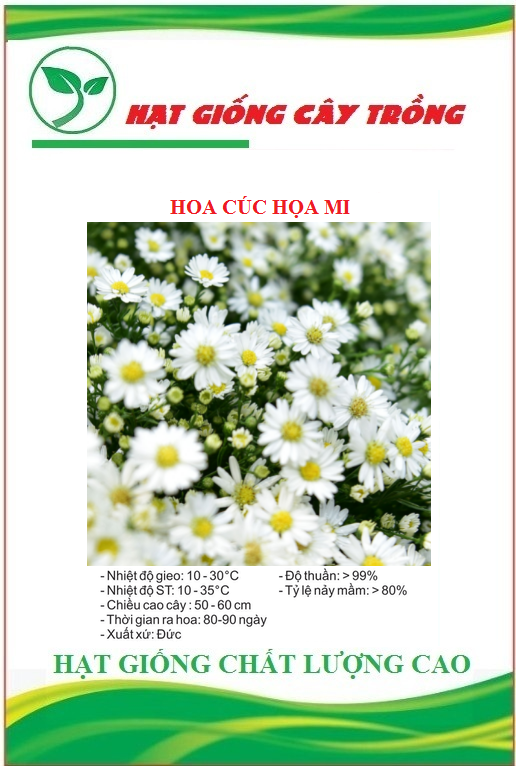 Hạt Giống Hoa Cúc Họa Mi - Gói 50 hạt