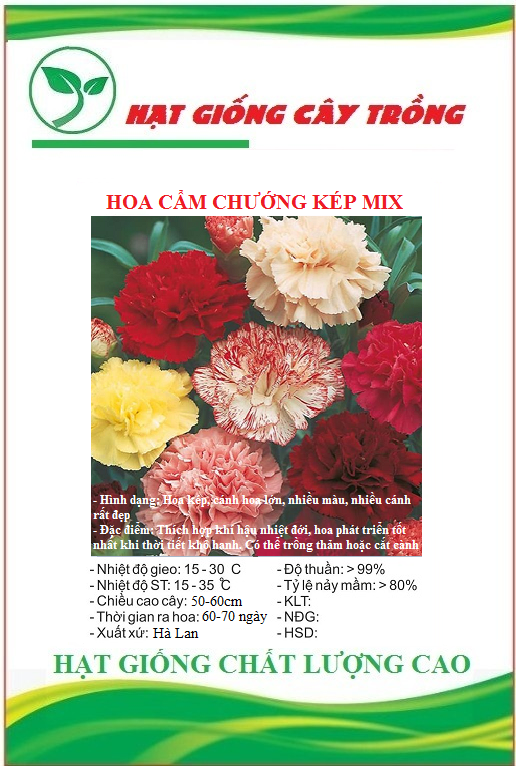Hạt Giống Hoa Cẩm Chướng Nhiều Màu  - Gói 50 hạt