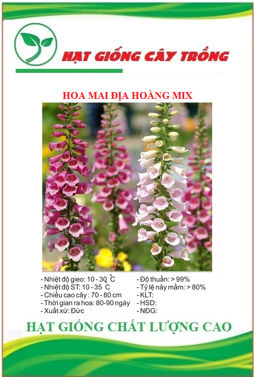 Hạt giống Hoa mao địa hoàng Mix – Gói 50 hạt