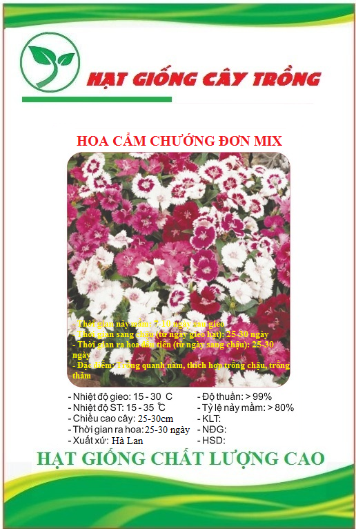 Hạt giống hoa cẩm chướng đơn nhiều màu - Gói 100 hạt