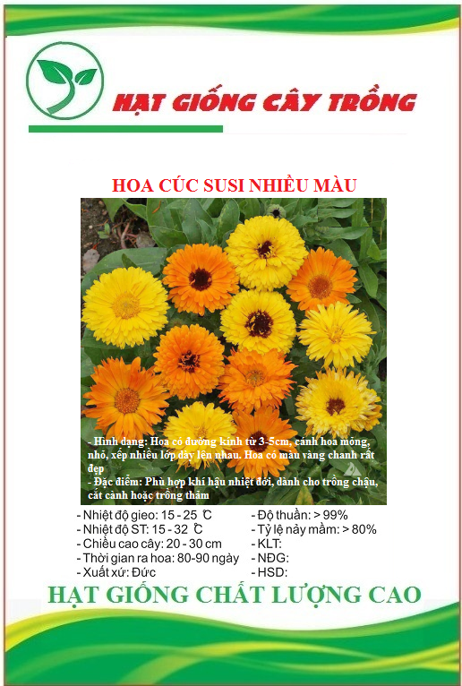 Hạt Giống Hoa Cúc Susi Nhiều Màu - Gói 50 hạt