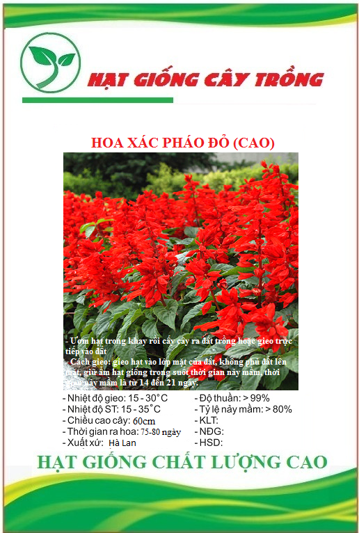 Hạt Giống Hoa Xác Pháo Cao Đỏ - Gói 50 hạt