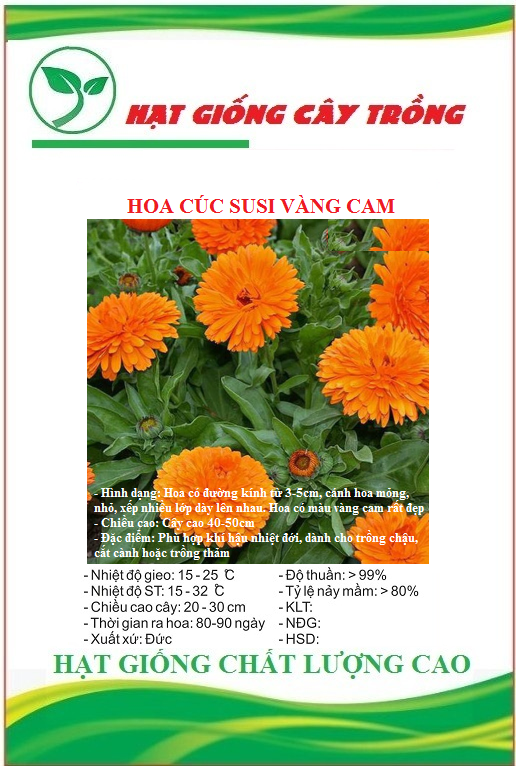 Hạt Giống Hoa Cúc Susi Vàng Cam - Gói 50 hạt