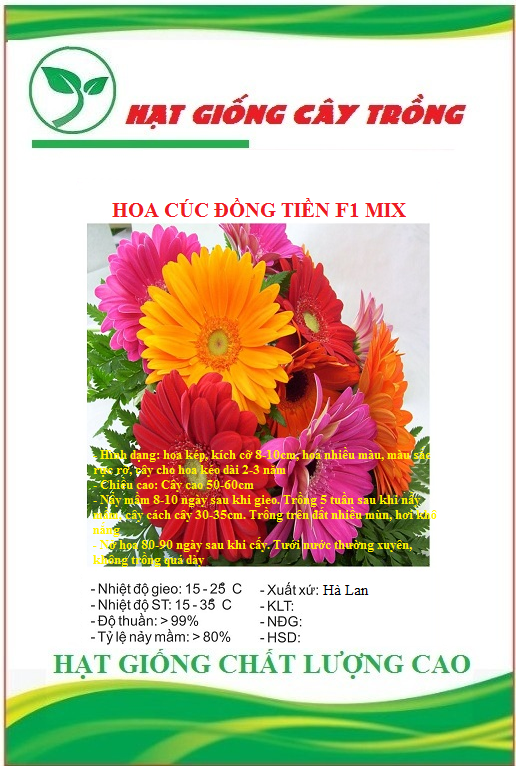 Hạt Giống Hoa Cúc Đồng Tiền F1 Nhiều Màu - Gói 10 hạt
