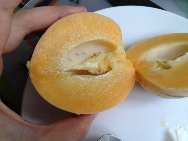 Hạt Giống Dưa Hấu Nam Phi Pepino F1