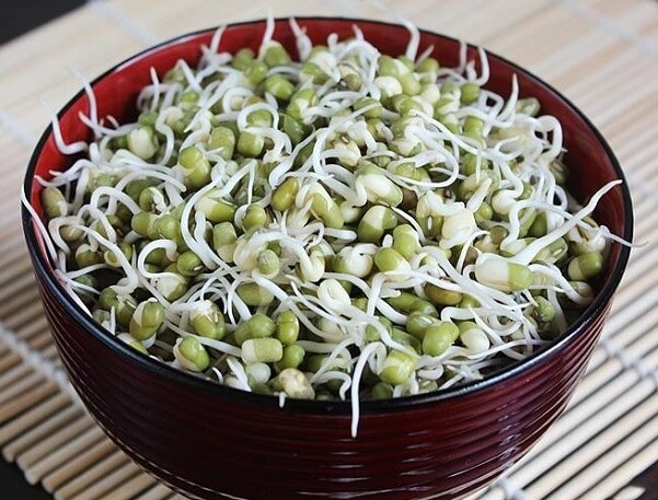 Hạt giống mầm đậu xanh (giá đỗ) - Gói 50gram
