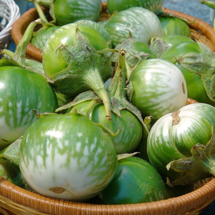 Hạt Giống Cà Dĩa Cao Sản - Cà Bát Da Ếch