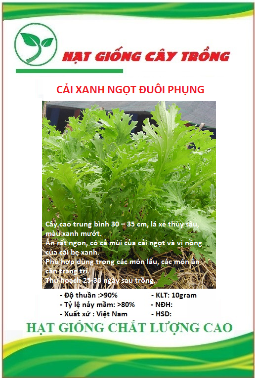 Hạt giống rau cải đuôi phượng xanh