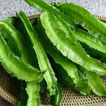 Hạt Giống Đậu Rồng Cao Sản