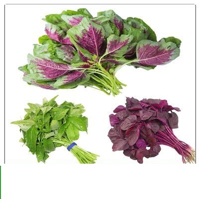 Hạt Giống Rau Dền 3 Màu - Gói 20gram