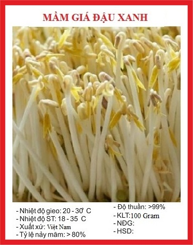 Hạt giống mầm đậu xanh (giá đỗ) - Gói 50gram