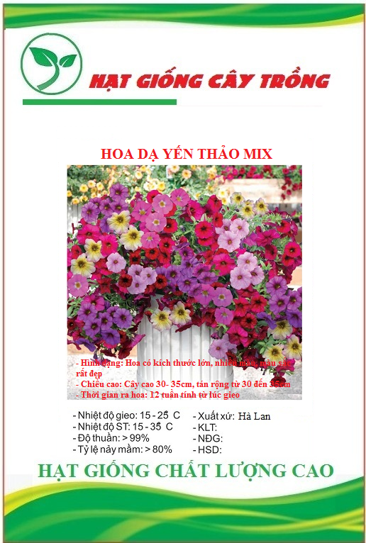 Hạt giống hoa dạ yến thảo đơn mix màu - Gói 50 hạt