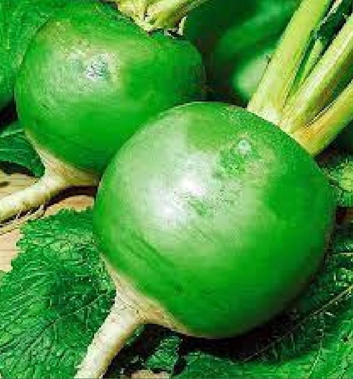 Hạt giống củ cải xanh ruột đỏ - Gói 2gram