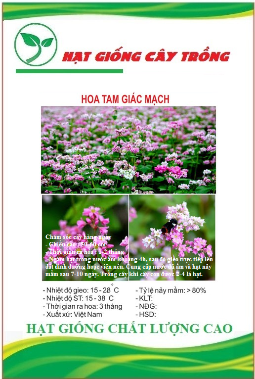 Hạt Giống Hoa Tam Giác Mạch