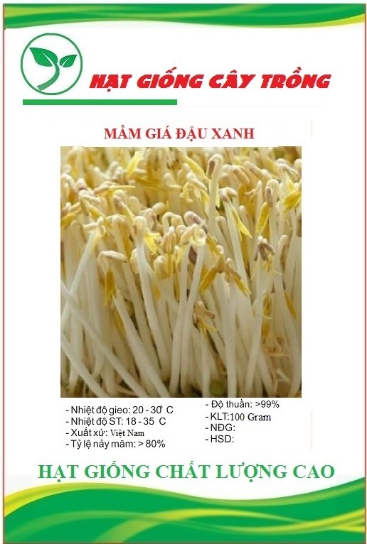 Hạt giống mầm đậu xanh (giá đỗ) - Gói 50gram