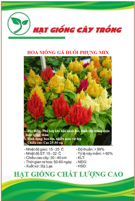 Hạt Giống Hoa Mồng Gà Đuôi Phụng Nhiều Màu - Gói 50 hạt