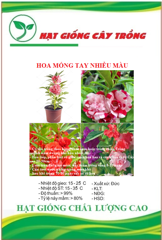 Hạt Giống Hoa Móng Tay Kép Nhiều Màu - Gói 50 hạt