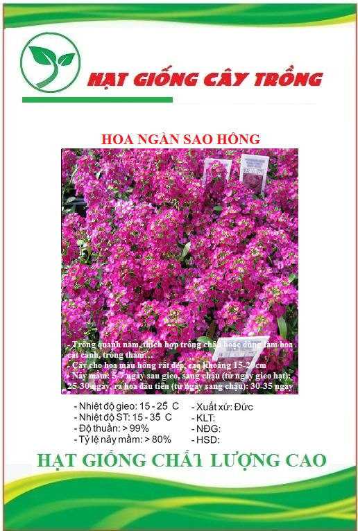 Hạt Giống Hoa Ngàn Sao Hồng - Gói 100 hạt