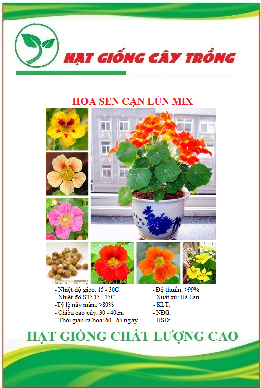Hạt Giống Hoa Sen Cạn Lùn Nhiều Màu - Gói 10 hạt
