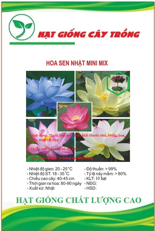 Hạt giống hoa sen mini nhật mix màu