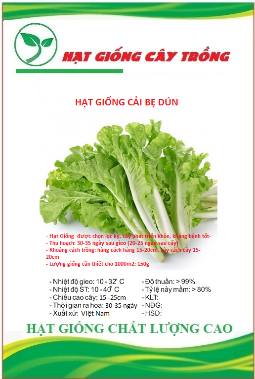 Hạt Giống Rau Cải Bẹ Dún