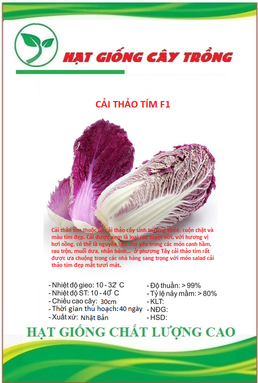 Hạt giống rau cải thảo tím Nhật Bản