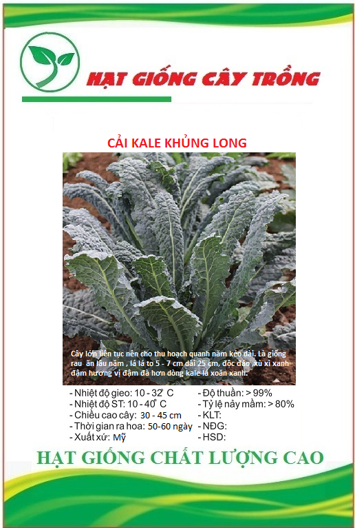 Hạt Giống Cải Xoăn Kale Khủng Long Ý