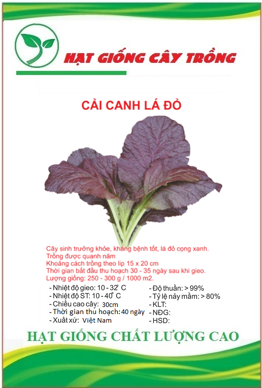 Hạt Giống Rau Cải Canh Lá Đỏ - 200 hạt