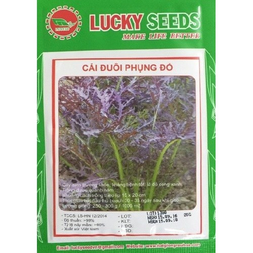 Hạt giống rau cải đuôi phụng đỏ - Gói 20gram