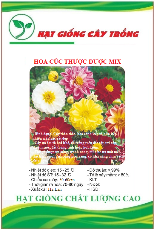 Hạt Giống Hoa Cúc Thược Dược Nhiều Màu - Gói 30 hạt