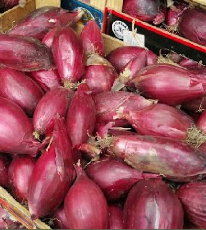Hạt Giống Hành Lá Gốc Tím  - Gói 2gram