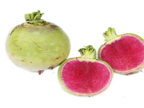 Hạt giống củ cải xanh ruột đỏ - Gói 2gram