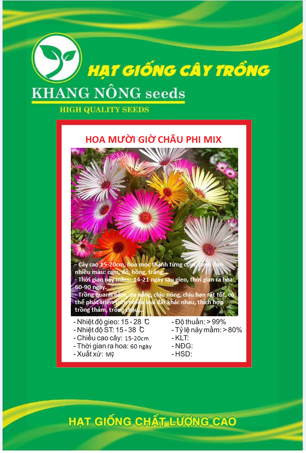 Hạt Giống Hoa Mười Giờ Châu Phi Mix Màu