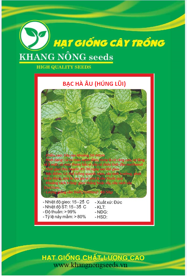 Hạt Giống Rau Húng Bạc Hà (Húng Lủi)