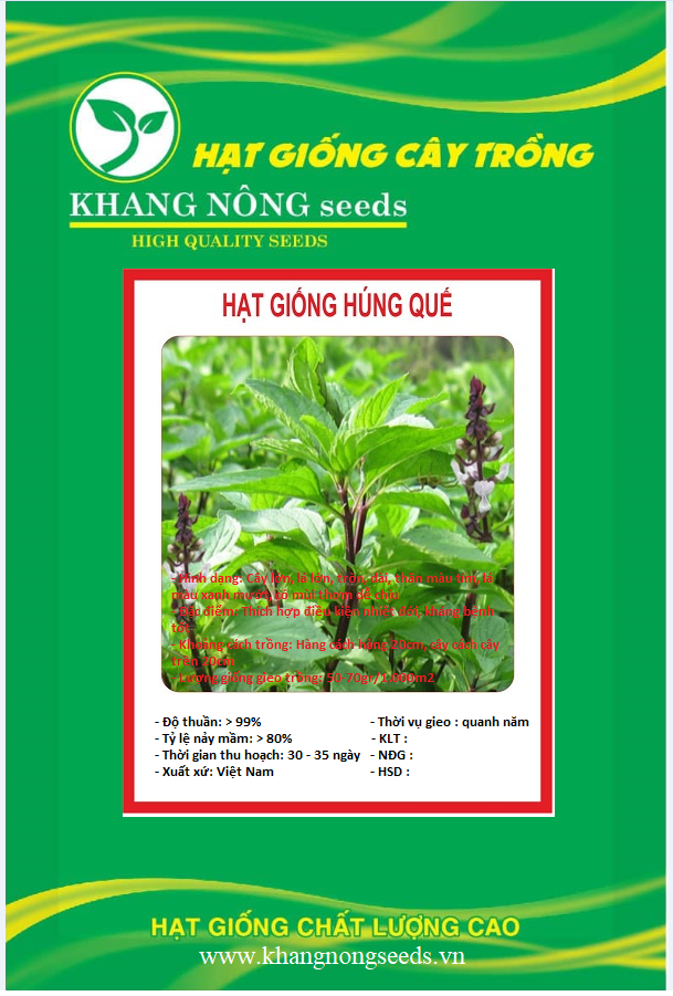 Hạt giống Rau Húng Quế - Gói 5 Gram