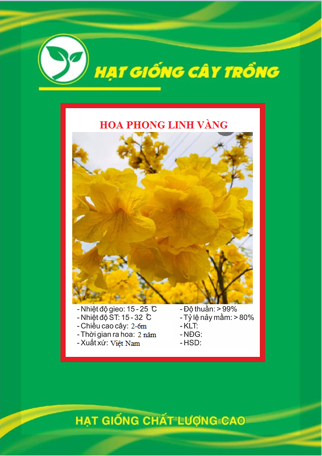 Hạt Giống Cây Hoa Phong Linh Vàng