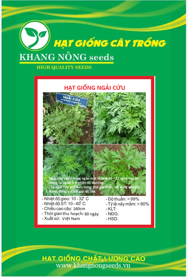 Hạt Giống Rau Ngải Cứu - Gói 50 hạt